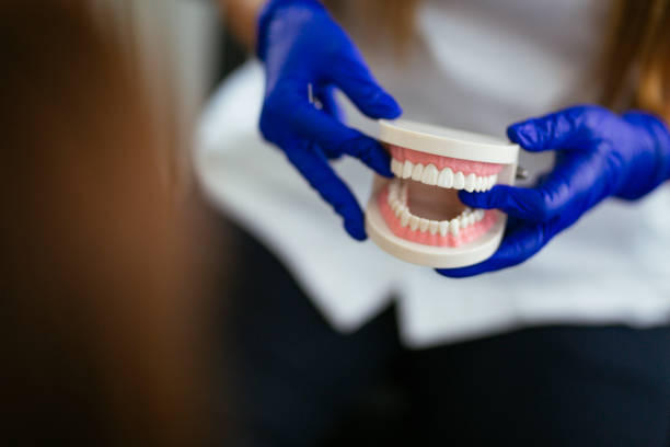 Best Pediatric Dentistry  in Hlcrest, IL